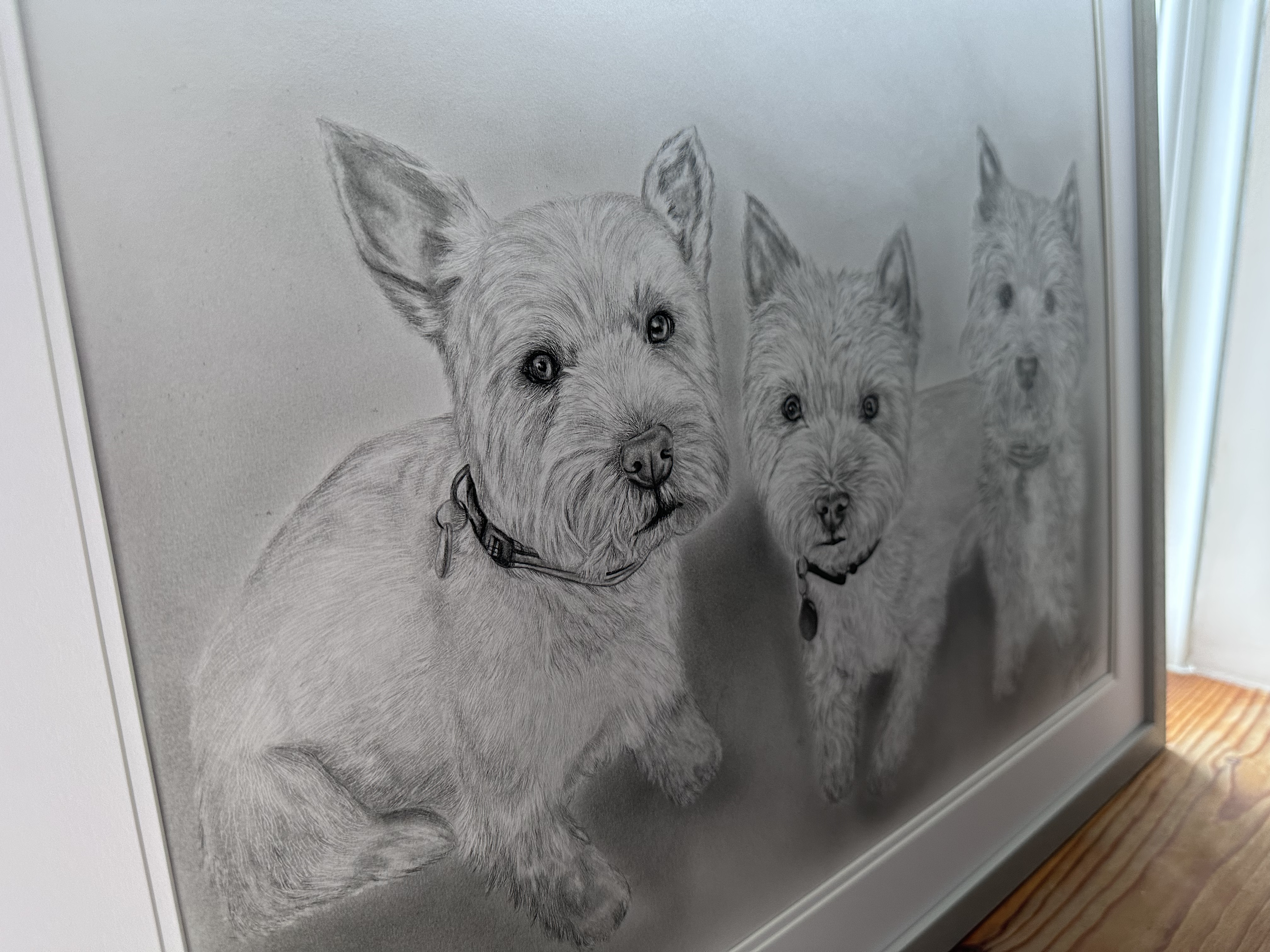 Westie dog graphite drawing