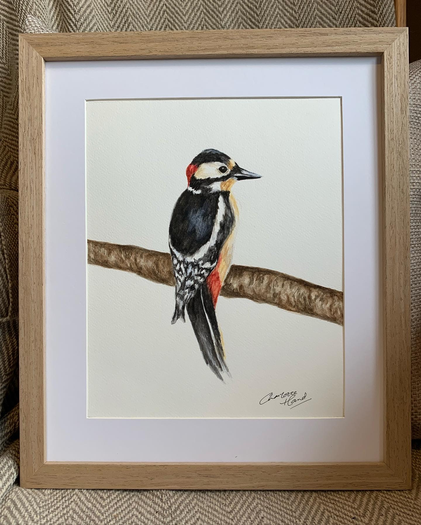 Bird watercolour painting