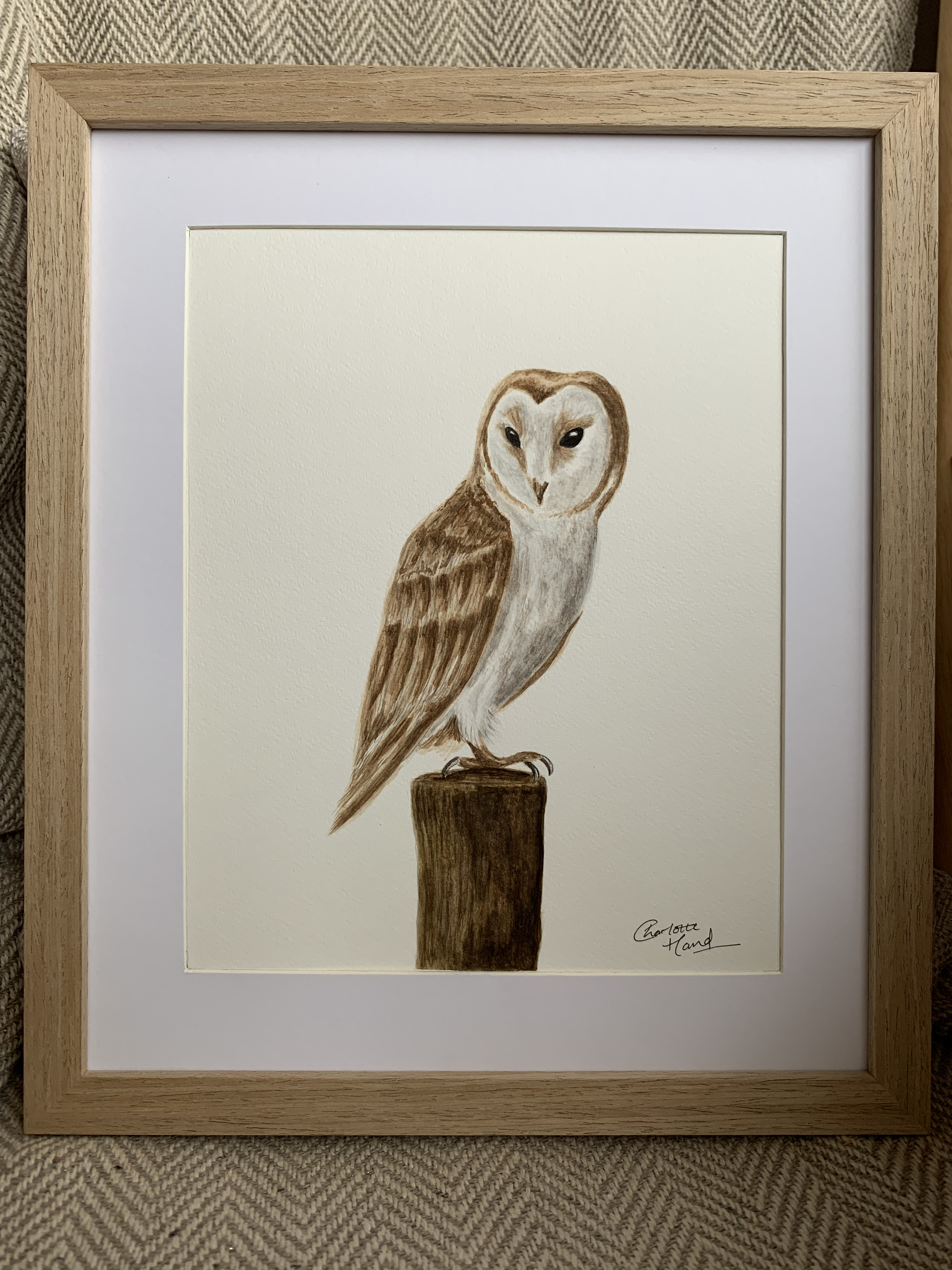 Owl watercolour painting